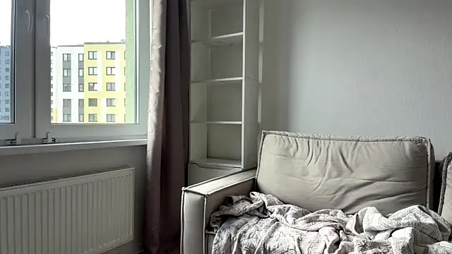 art_object webcam
