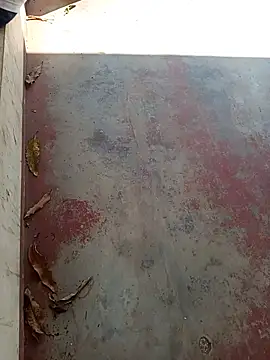 novinhorelampago webcam