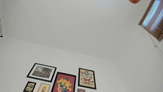 SofiMeza webcam