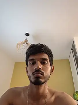 detestelavie webcam