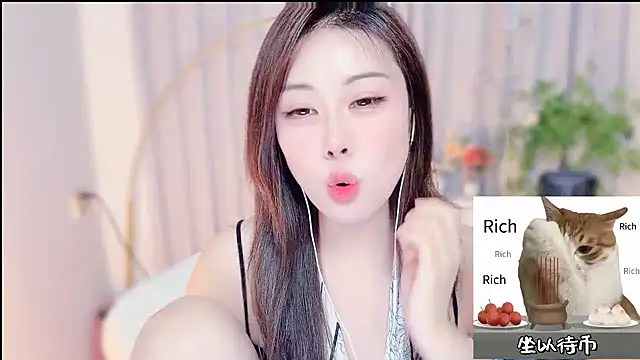 CC-777888 webcam