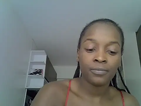 veeyke webcam