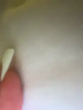 CreamPuff- webcam