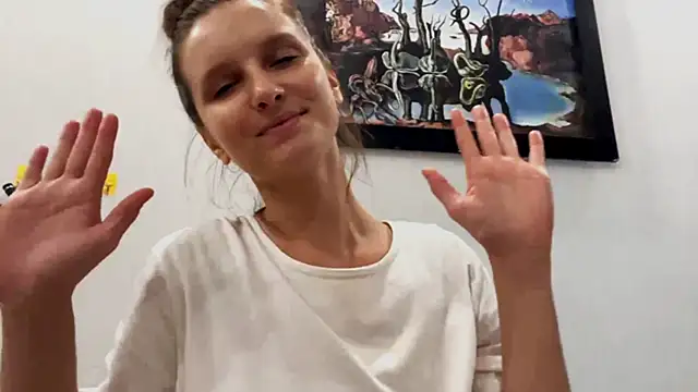 VanMendrin webcam