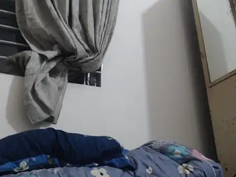 HOW70 webcam