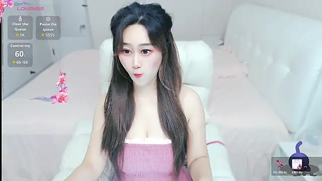 pipixia-520 webcam