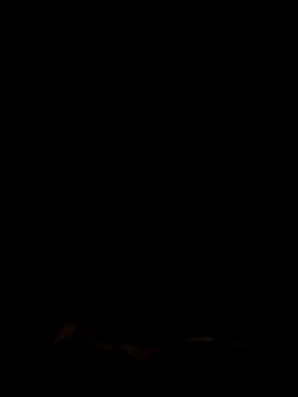 stephie83 webcam