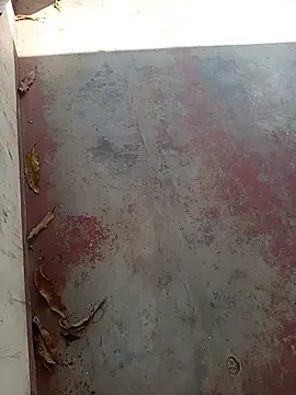 novinhorelampago webcam