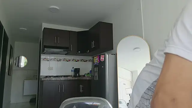 grey___27 webcam