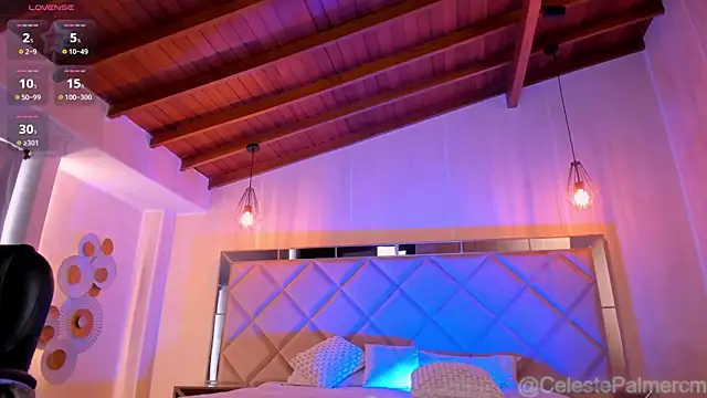 CelestePalmer_ webcam