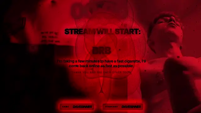 davesinner webcam