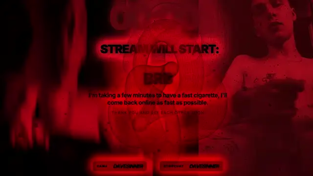davesinner webcam