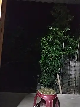zhen-zo webcam