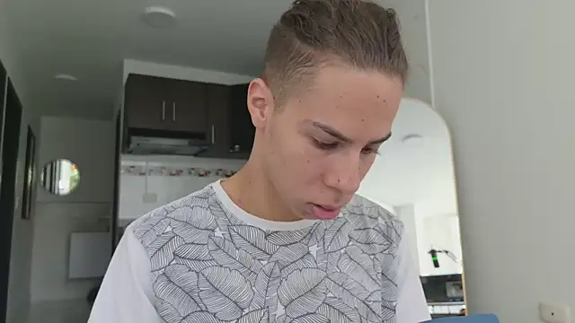 grey___27 webcam