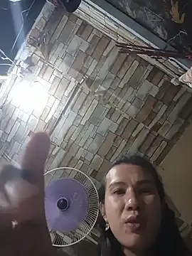 manilafoxts webcam