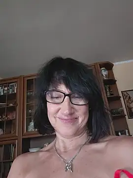 Vlastelina webcam