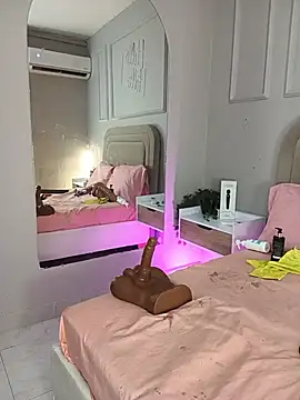 Liastarkk webcam