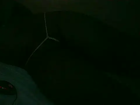 Danniels80 webcam