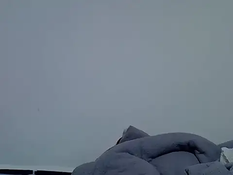 Talishabae webcam