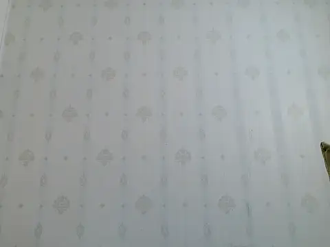 coco-LL webcam