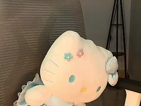 ImDisha_13 webcam