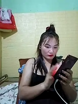 Voiva11 webcam