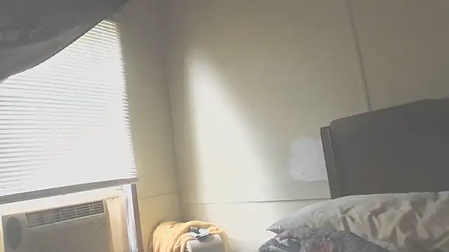 Yankeedave420 live cam on StripChat