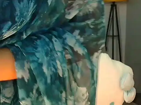 ImDisha_13 webcam
