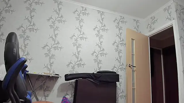 SanFrantsisko webcam