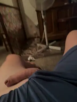CheapFan55 webcam