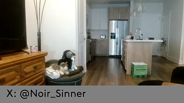 sinnernoir webcam