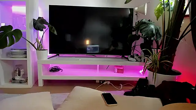 rubix_ts webcam