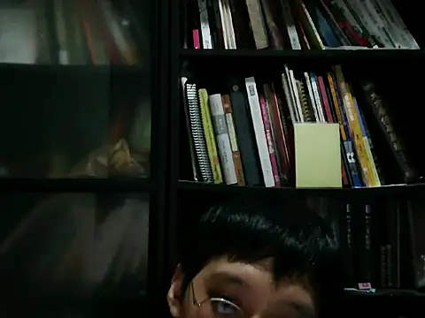 Lv8763 webcam
