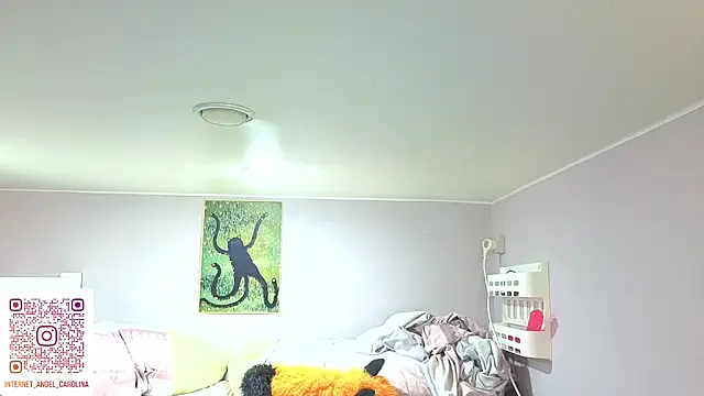 IntertetAngel webcam