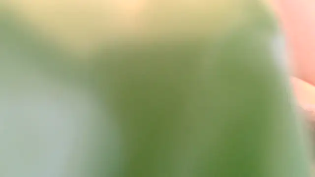 rockhead1971 live cam on StripChat