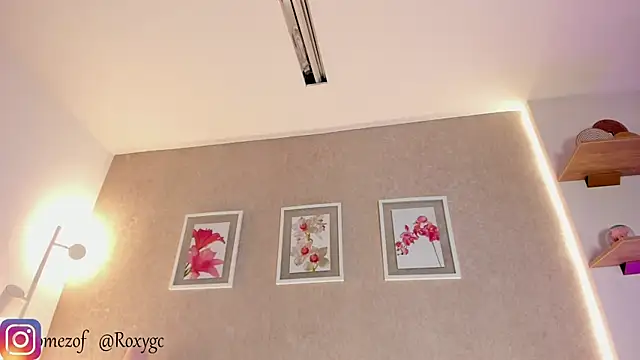 roxannegomez webcam