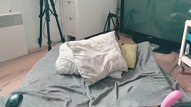 CeriseLapine webcam