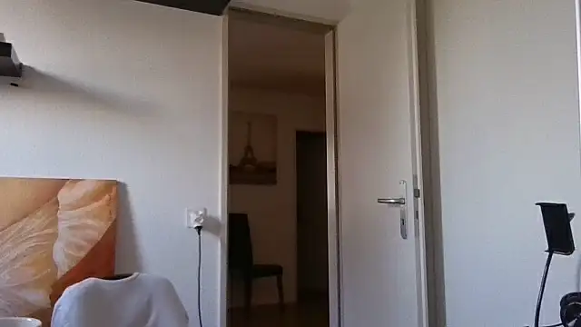 alpha-hunk webcam