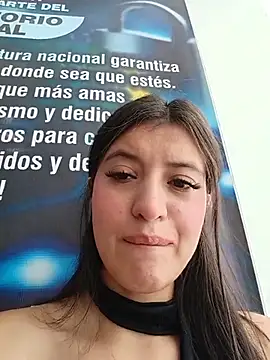 SALOME-28_ webcam