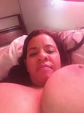 lapatronav2026 webcam