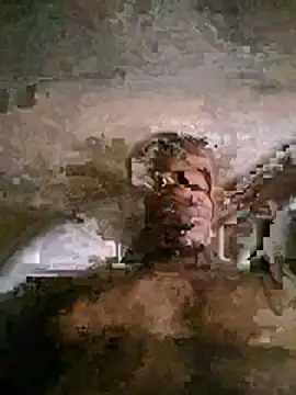 BBc-cock webcam