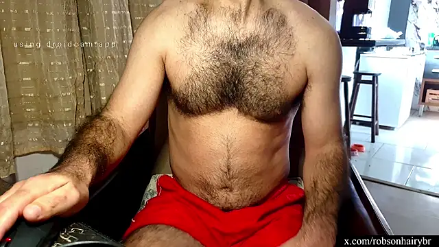 robsonbr webcam