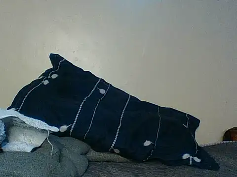 Hunnybloom webcam