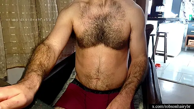 robsonbr webcam