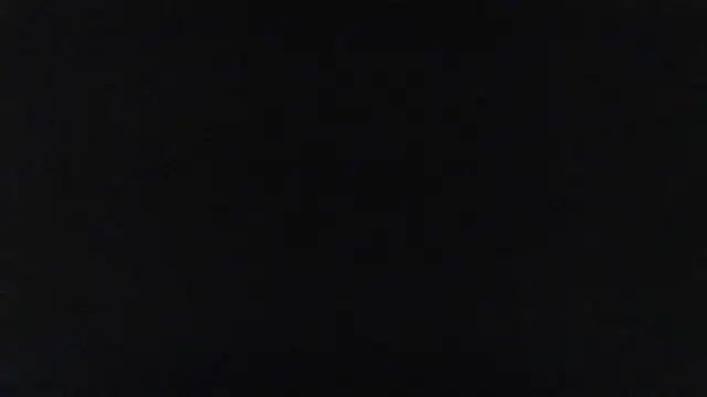 WetFlower69 webcam