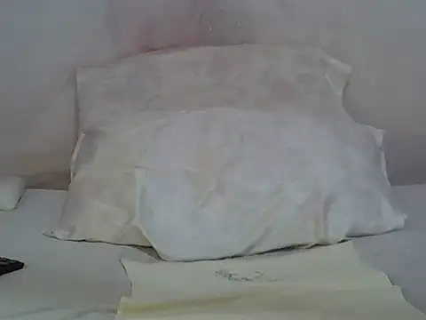 Tahshar webcam