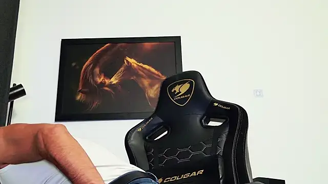 ChrisKox webcam