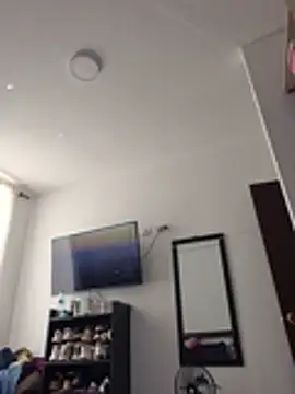 IrisBound webcam