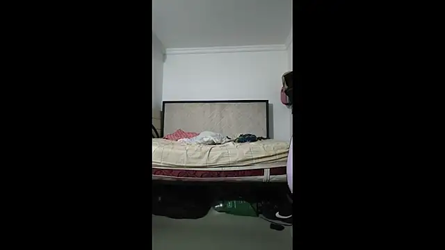 sky_dancers webcam
