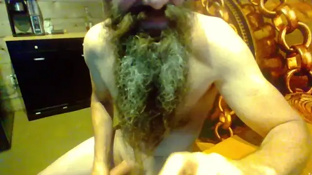sit-on-my-beard webcam